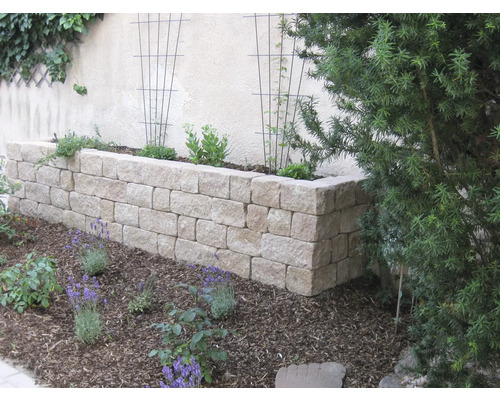 Jardin avec parterre surélevé en pierre et plantes