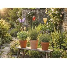 Drei Kräutertöpfe mit Pflanzensteckern in Schmetterling-, Tulpen- und Herzform auf einer Holzbank im Garten.