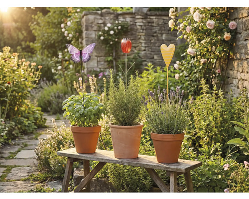 Drei Kräutertöpfe mit Pflanzensteckern in Schmetterling-, Tulpen- und Herzform auf einer Holzbank im Garten.