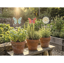 Drei Terrakottatöpfe mit Kräutern und dekorativen Gartensteckern auf einer Holzbank im Garten.