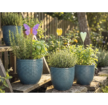 Pots de fleurs avec des herbes aromatiques et des décorations de jardin sur un escalier de jardin