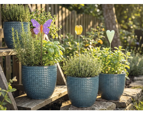 Pots de fleurs avec des herbes aromatiques et des décorations de jardin sur un escalier de jardin