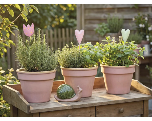 Drei Kräutertöpfe mit Kräutern und Dekoration auf einem Holztisch