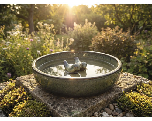 Abreuvoir à oiseaux en céramique avec décor d'oiseaux dans le jardin