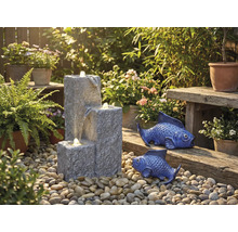 Scène de jardin avec fontaine en cascade, poissons décoratifs et plantes