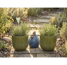 Nature morte de jardin avec pots plantés, piquets en forme de cœur et poule décorative sur un chemin de pierre