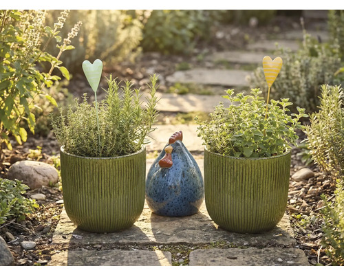 Nature morte de jardin avec pots plantés, piquets en forme de cœur et poule décorative sur un chemin de pierre