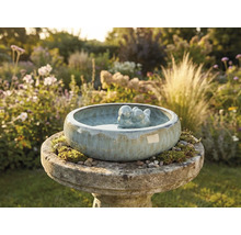 Abreuvoir à oiseaux en céramique avec couple d'oiseaux dans le jardin