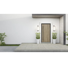 Eingangsbereich eines Hauses mit Haustür, Aussenleuchten und Pflanzenkübeln