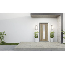 Moderne Haustür mit Glaseinsatz, flankiert von Pflanzen in Töpfen und Aussenleuchten