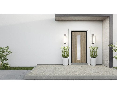 Moderne Haustür mit Glaseinsatz, flankiert von Pflanzen in Töpfen und Aussenleuchten