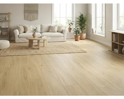 Salon lumineux avec plancher en bois, canapé, tapis et plantes pour une ambiance conviviale.