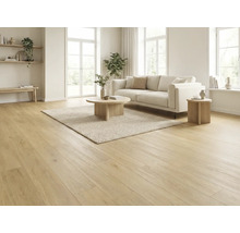 Salon lumineux avec parquet, canapé, tapis et tables d'appoint