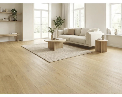 Salon lumineux avec parquet, canapé, tapis et tables d'appoint