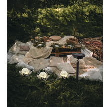 Espace extérieur décoratif avec lampes solaires, coussins et table en bois rustique