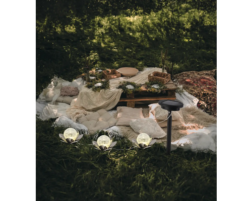 Espace extérieur décoratif avec lampes solaires, coussins et table en bois rustique