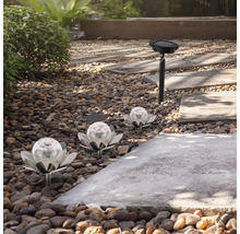 Scène de jardin avec des lampes solaires décoratives en forme de fleur et un spot solaire le long d'un chemin de pierre