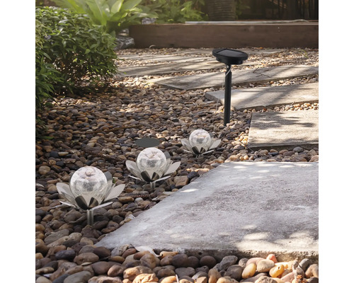 Scène de jardin avec des lampes solaires décoratives en forme de fleur et un spot solaire le long d'un chemin de pierre