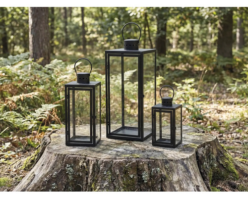 Drei Windlichter aus Metall und Glas auf einem Baumstumpf im Wald