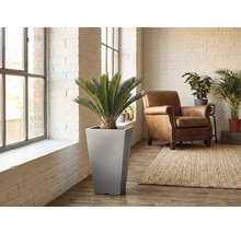 Scène d'un espace de vie avec un pot de fleurs cylindrique comprenant une plante, un fauteuil et un tapis.