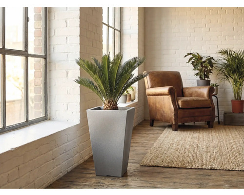 Scène d'un espace de vie avec un pot de fleurs cylindrique comprenant une plante, un fauteuil et un tapis.