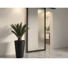 Vue d'une pièce avec porte coulissante, plante en pot et vue sur une salle de bain