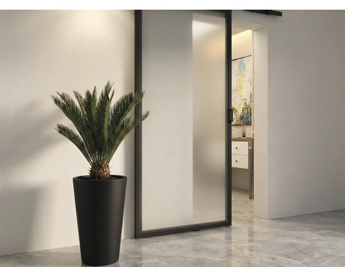 Vue d'une pièce avec porte coulissante, plante en pot et vue sur une salle de bain