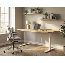 Aménagement avec bureau, chaise de bureau et étagères dans une pièce de travail