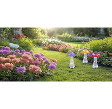 Gartenlandschaft mit Pilzleuchten zwischen Blumenbeeten