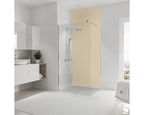 Salle de bain avec paroi de douche, lavabo et miroir