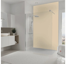 Salle de bains lumineuse avec paroi de douche, lavabo et tapis de bain pour une ambiance moderne.