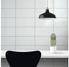 Intérieur avec suspension noire, cactus en pot et chaise devant un mur carrelé blanc