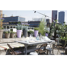 Une table dressée sur une terrasse de toit avec des plantes en pot devant un paysage urbain.