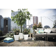 Toit-terrasse avec coin salon, plantes en pots et vue sur la ville