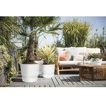 Terrasse mit Pflanzen in weißen Blumentöpfen und einer Sitzecke