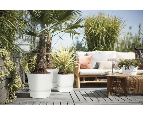 Terrasse mit Pflanzen in weißen Blumentöpfen und einer Sitzecke