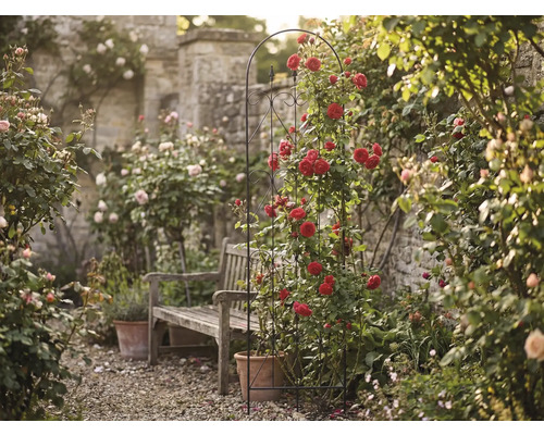 Gartenansicht mit Rosenbogen, Holzbank und Steinmauer im Hintergrund.