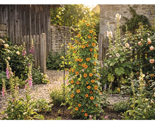 Garten mit Kletterpflanze an Rankhilfe, umgeben von verschiedenen Blumen und Pflanzen vor Holzzaun und Steinmauer
