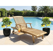 Chaise longue en bois avec cocktail et citronniers au bord de la piscine