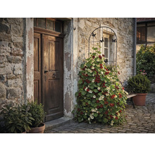 Außenansicht eines Hauses mit Holztür und Rankgitter mit blühenden Kapuzinerkresse Pflanzen