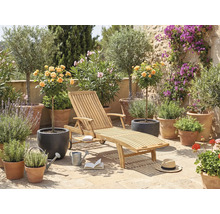Scène de jardin avec chaise longue en bois, plantes en pot et éléments décoratifs pour l'extérieur