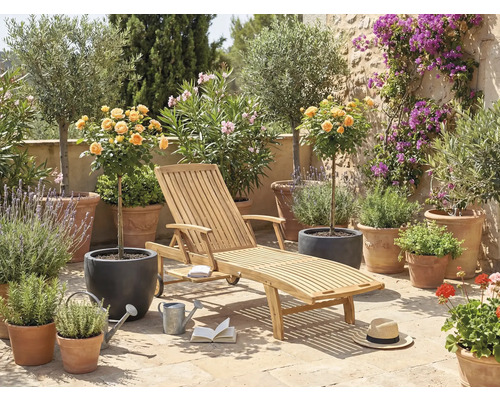 Scène de jardin avec chaise longue en bois, plantes en pot et éléments décoratifs pour l'extérieur