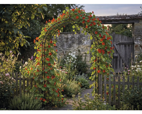 Gartenansicht mit Rosenbogen, bewachsen mit Kapuzinerkresse