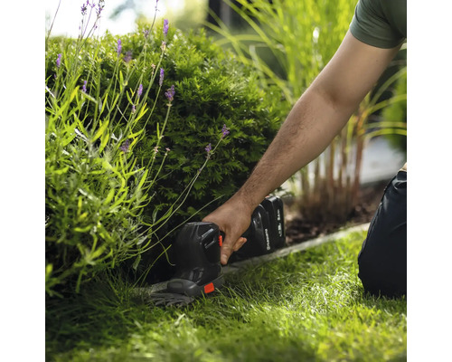 Jardinier taillant une haie avec une cisaille à gazon sans fil dans le jardin.