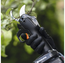Une personne utilise un sécateur à batterie sur un arbre.