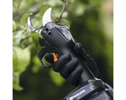 Une personne utilise un sécateur à batterie sur un arbre.