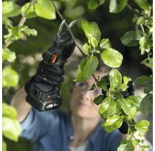 Une personne utilise un sécateur à batterie pour tailler une branche.