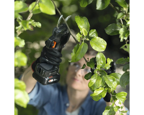 Une personne utilise un sécateur à batterie pour tailler une branche.