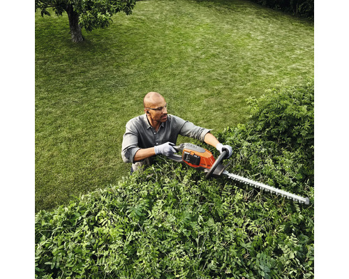 Une personne taille une haie avec un taille-haie dans un jardin.
