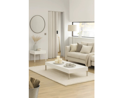 Salon avec canapé, table, tapis, miroir et porte pliante